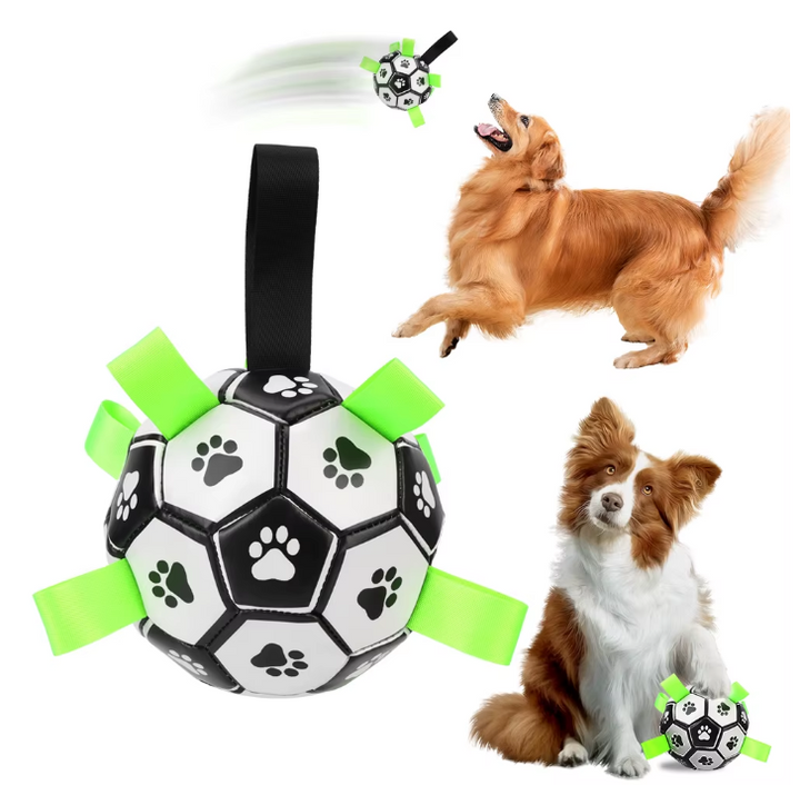 SoccerPaws – Interactive Dog Brain Game